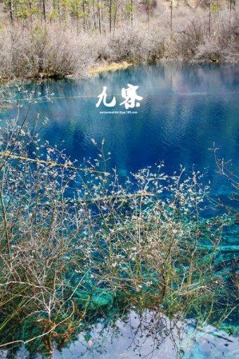 逃离月日森林