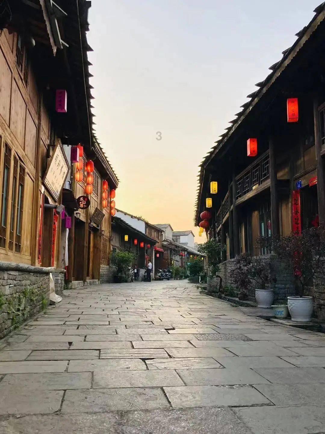 变异动物之战